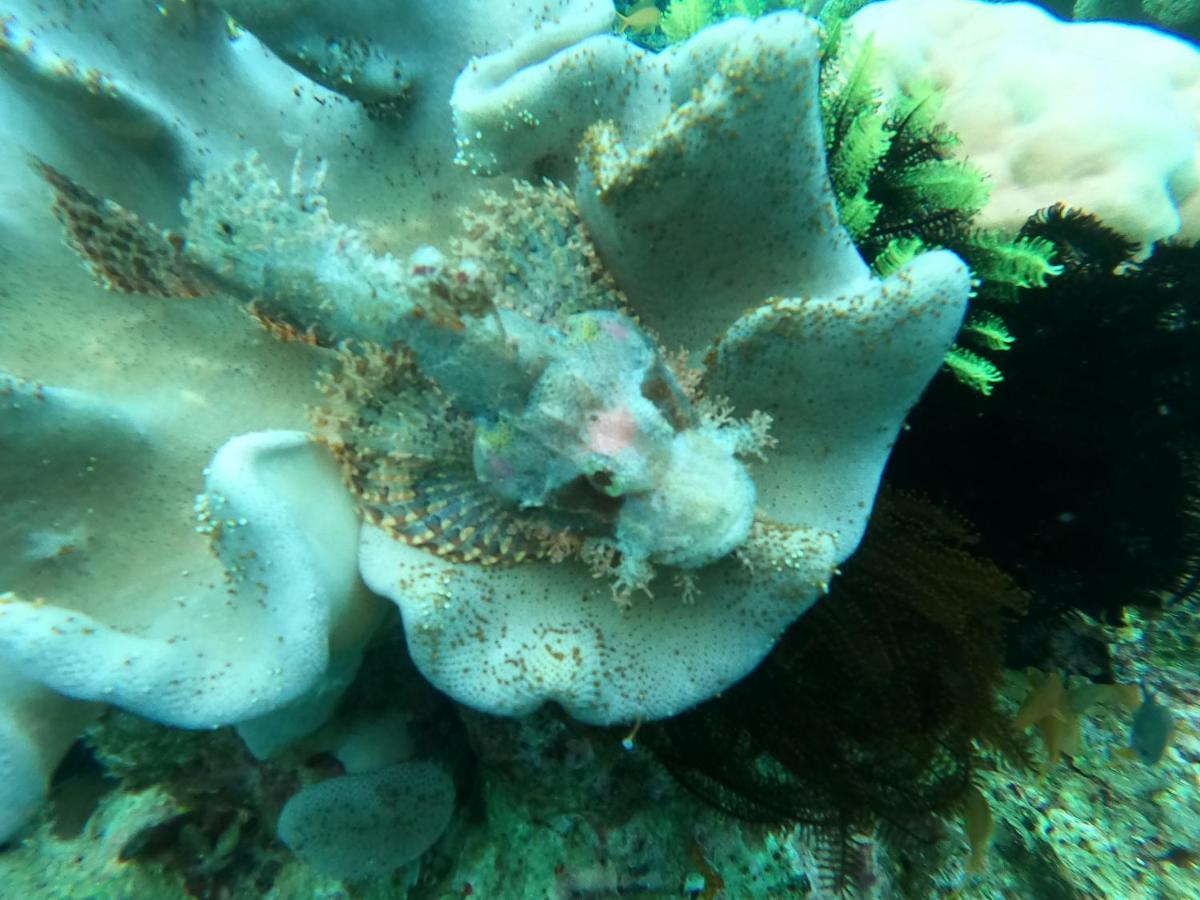 Cabilao Sunset Dive & Beach Resort Loon Luaran gambar